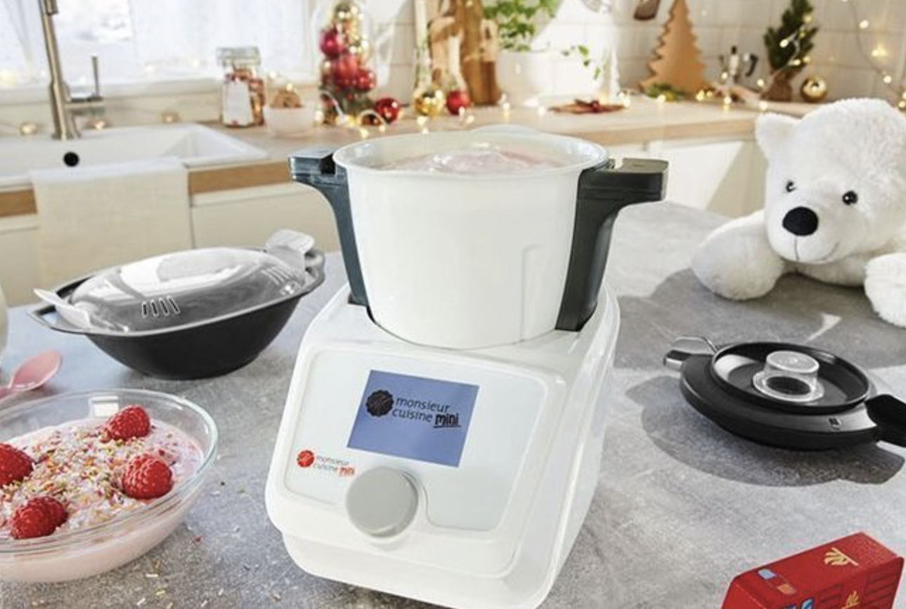 Mini monsieur cuisine lidl